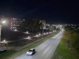 Жителей Сызрани предупреждают: укус этих милых зверушек может быть смертельным