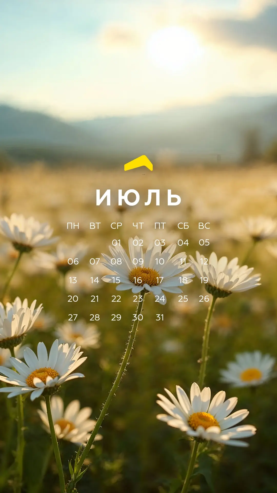 👀 Второй месяц лета уже стартовал, а это значит...

Что пора обновить обои на ваших любимых устройс