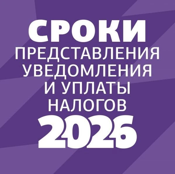 Налоговое уведомление 2026: что нужно знать о порядке и сроках уплаты.