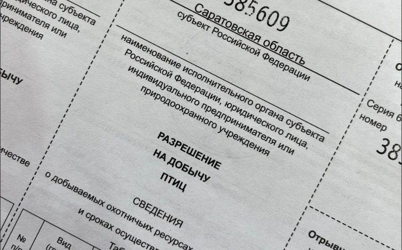 На следующей неделе начинается выдача разрешений на пернатую дичь 

‼️Во вторник, 14 июля, Комитет о