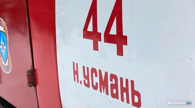 В Новоусманском районе в Орлово сгорели гараж, машина, надворная постройка и жилой дом
