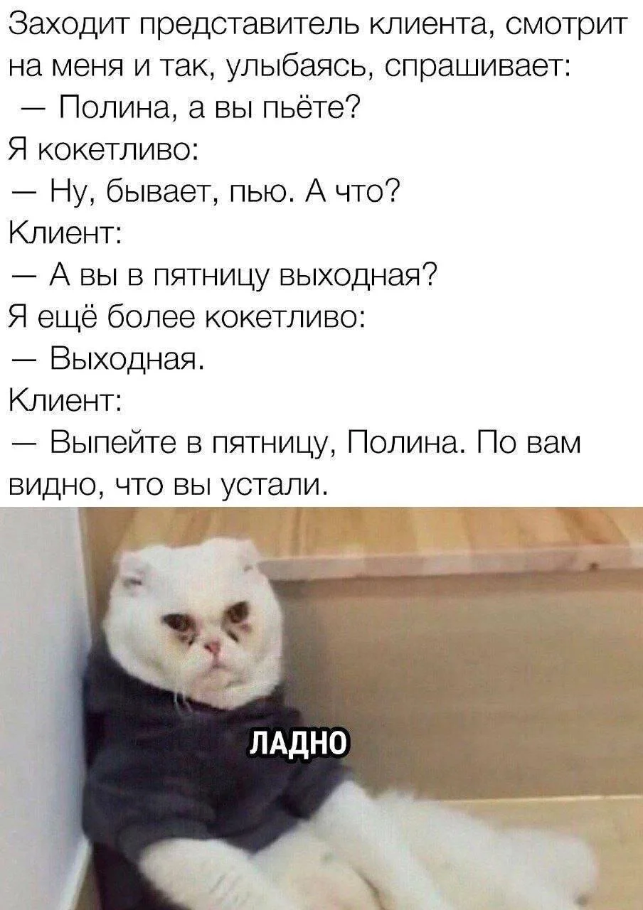 Сегодня, кстати, пятница. Ни на что не намекаю, коллеги