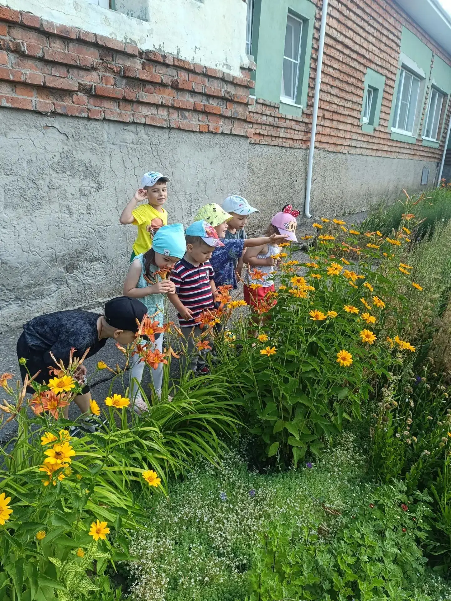 🌸 Наш цветущий летний день: наблюдение за природой 🌸Сегодня на прогулке воспитанники группы "Солны