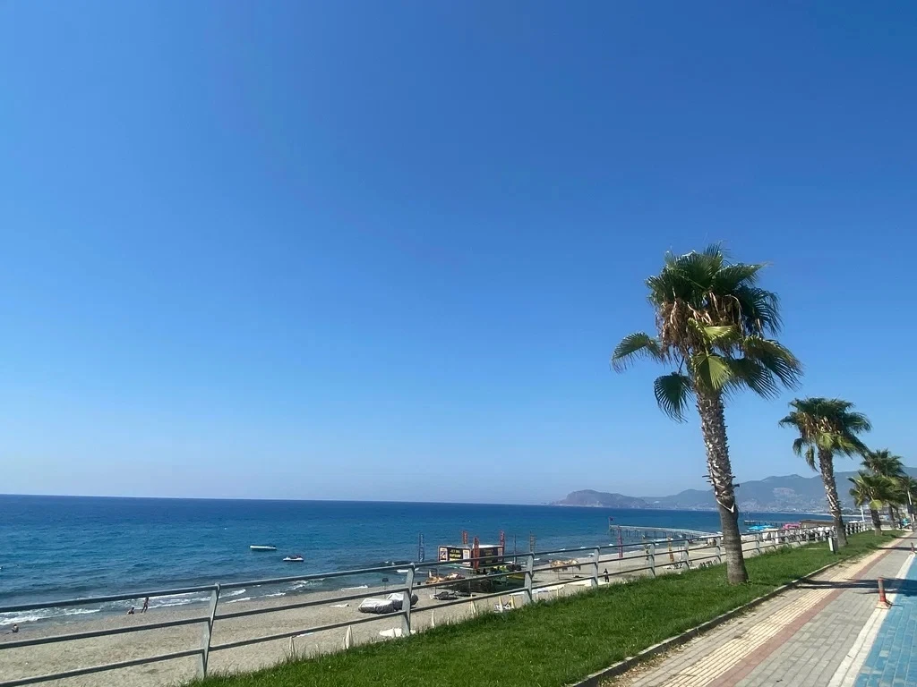 🇹🇷 Турция, горящий тур 🔥🔥🔥
вылет из Тюмени ✈️

Bariscan Hotel 3⭐ (Аланья)

📍 250 м до моря, св