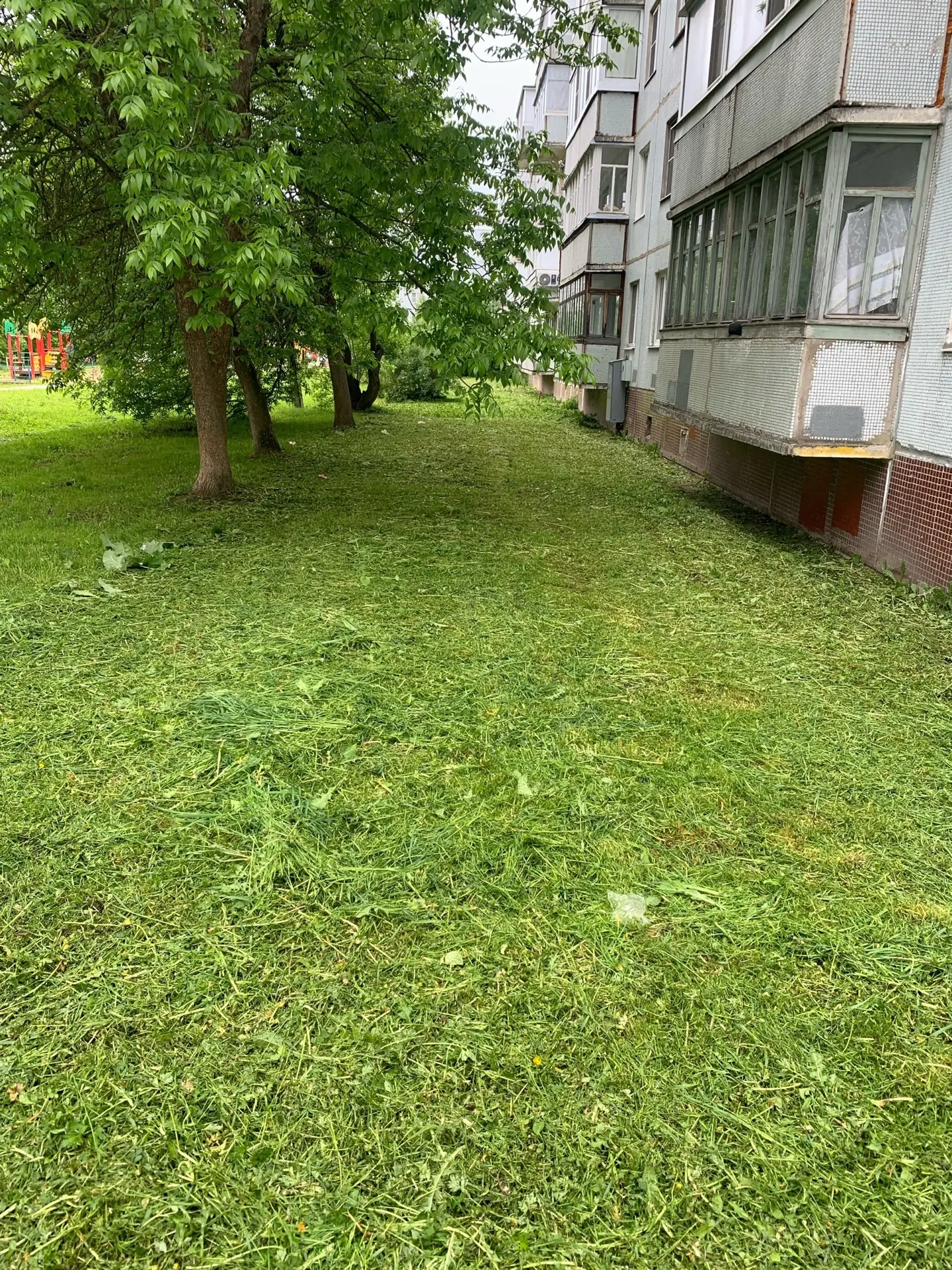 🍀Выполнены работы по окосу травы по адресу: пр-т Ленина, д. 41.