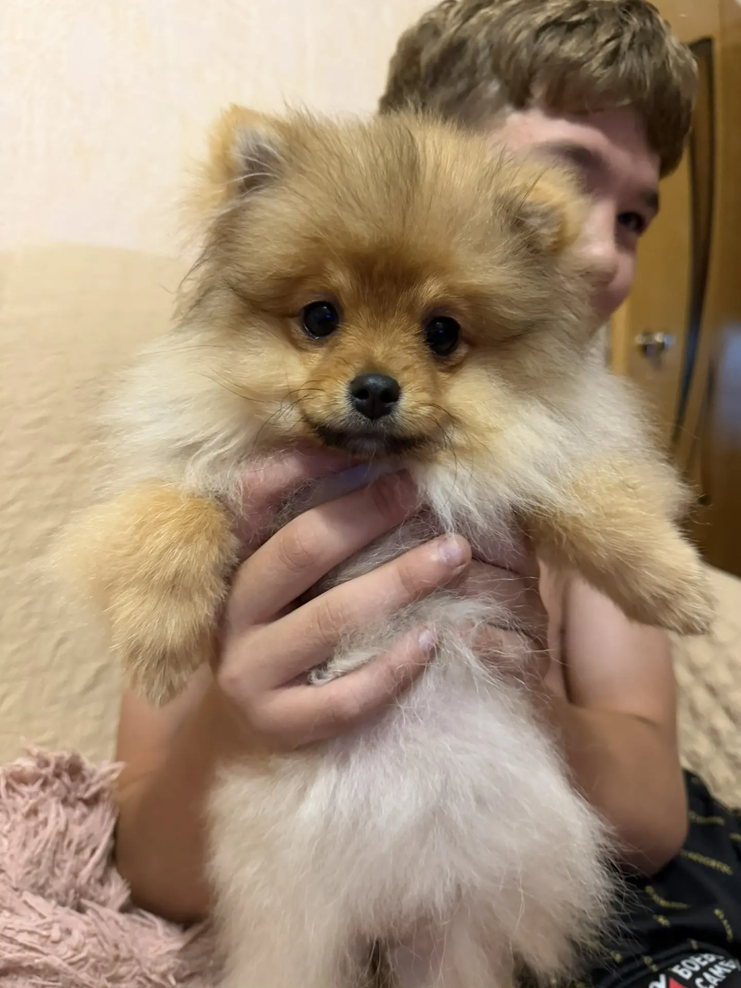 Красотка эта все внимание сегодня на себя приняла )))