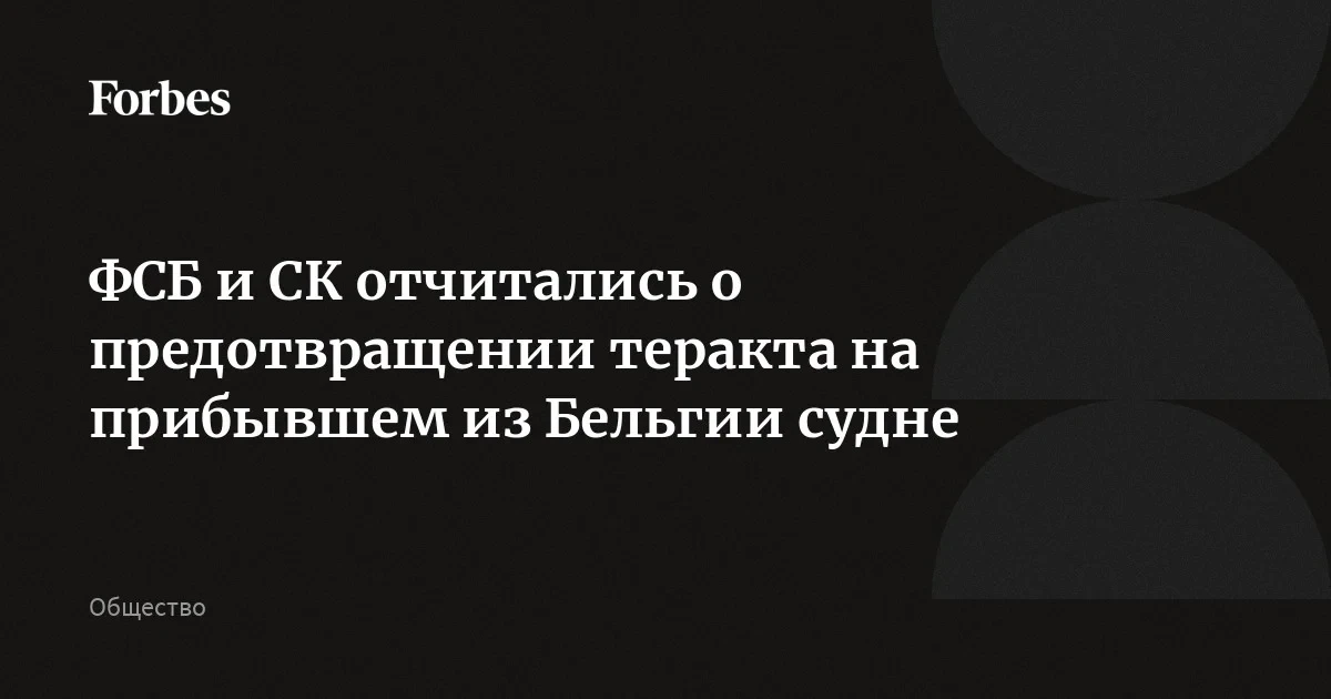 ФСБ и СК отчитались о предотвращении теракта на прибывшем из Бельгии судне