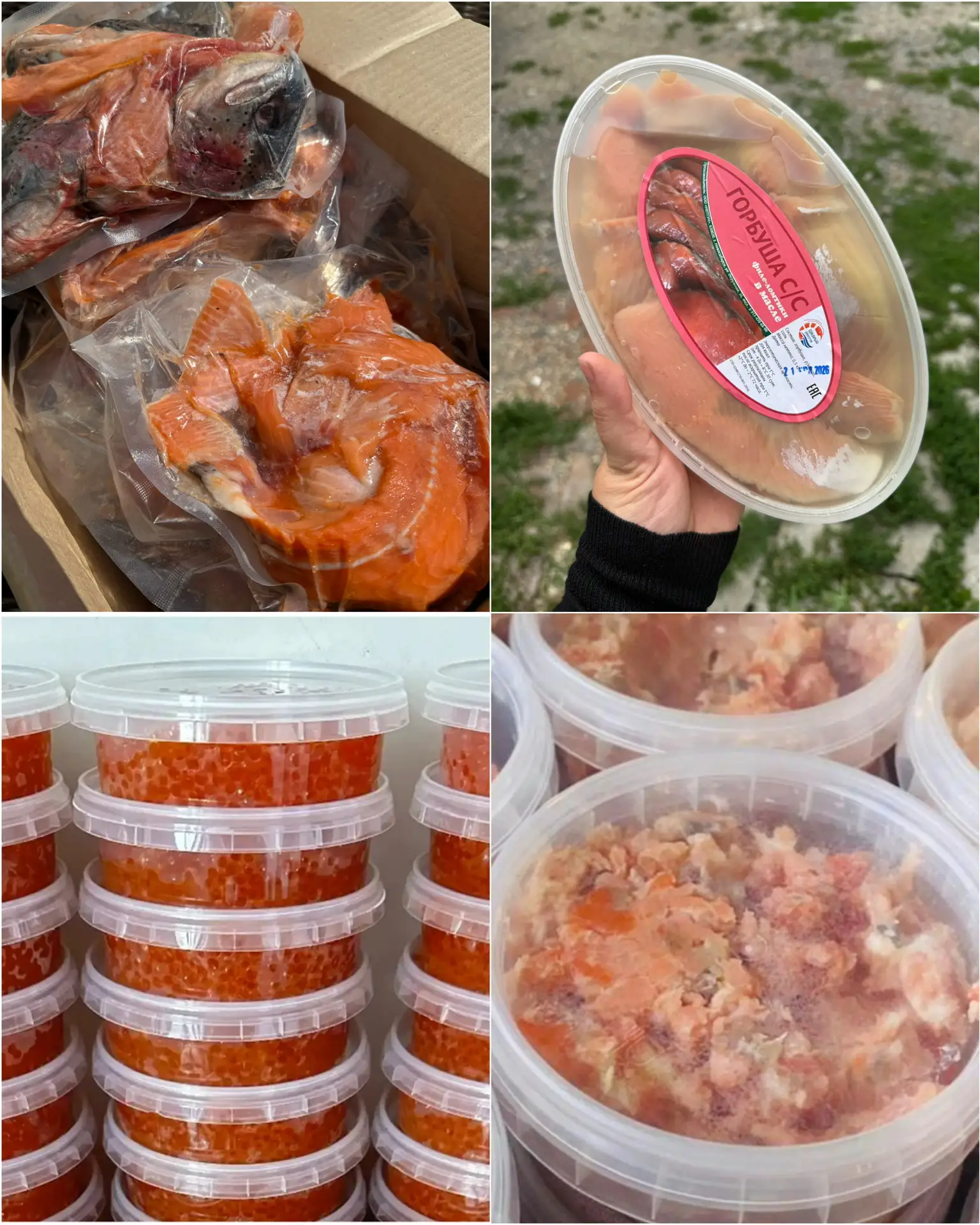 5️⃣ Набор для ухи из форели, 1 кг - 290₽

6️⃣ Горбуша с/с в масле, 500г - 750₽

7️⃣ Икра горбуши, 25
