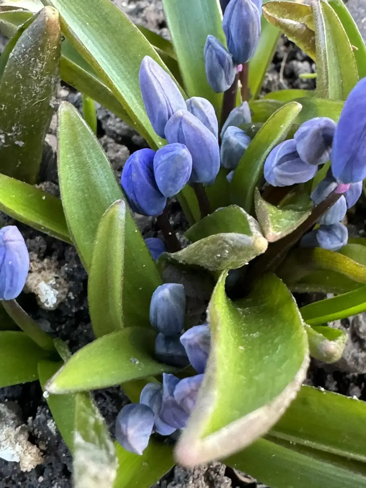 Вы видели, как просыпается природа? 🌱  Доброе утро, Новомосковск ❤️