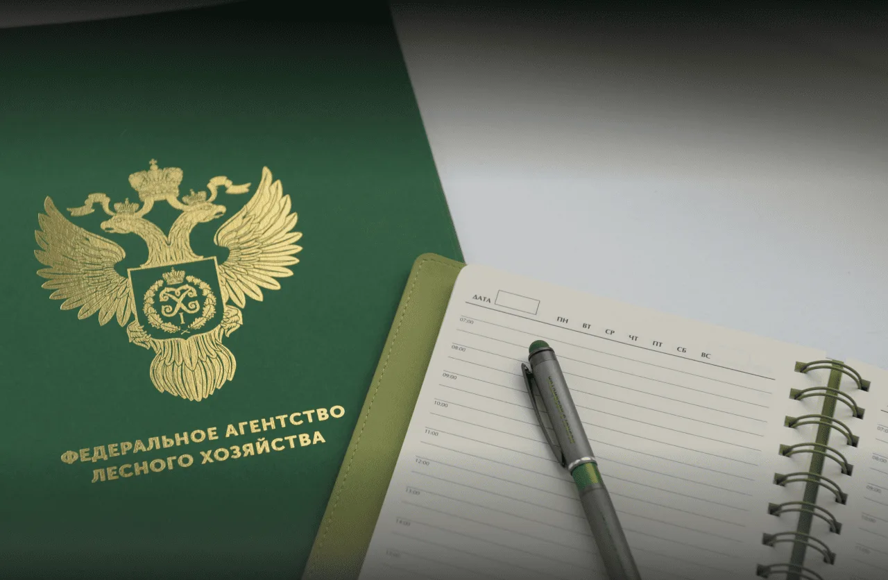 📌 С 1 сентября 2026 года вступают в силу новые Правила пожарной безопасности в лесах.

✅ Профилакти