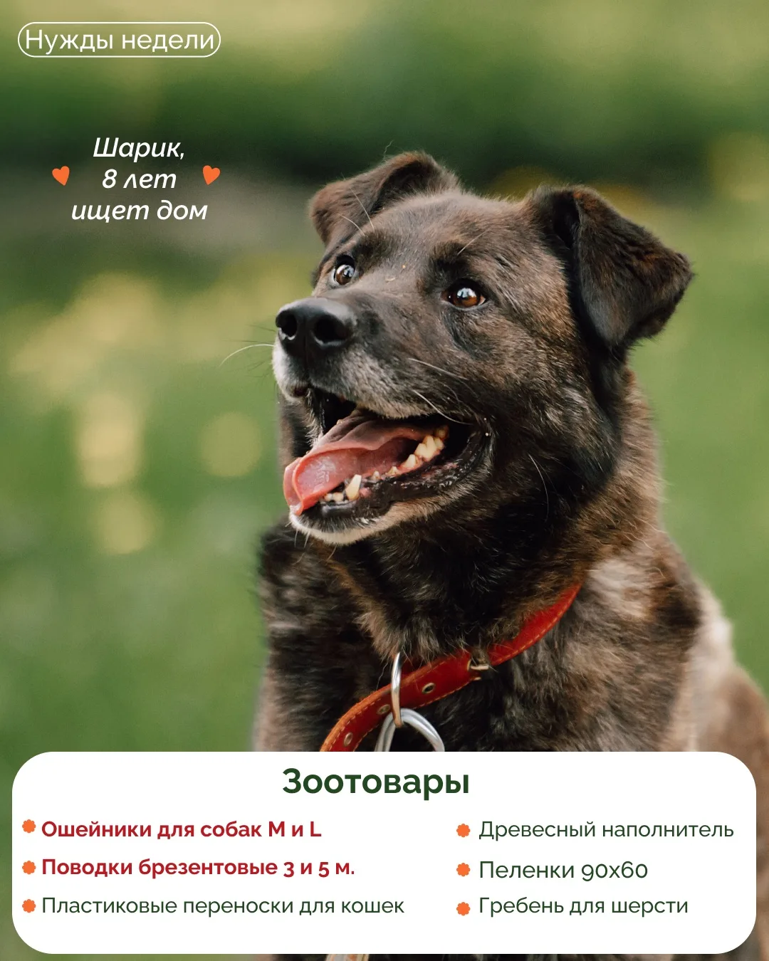 НУЖДЫ ПРИЮТОВ 🐾

Друзья, по доброй традиции каждую среду мы делимся с вами актуальными нуждами прию