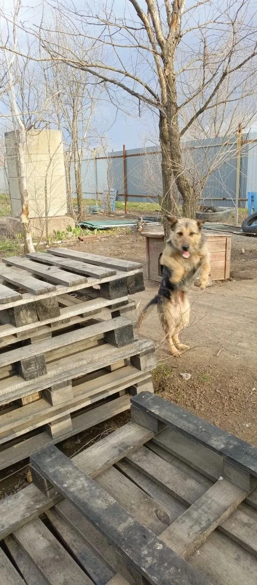 Приветик от Машки🥰. Кадры шедевральные🤣
