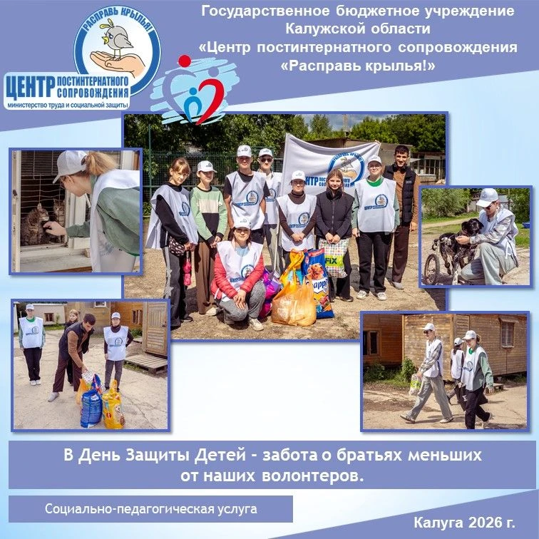 В День Защиты Детей - забота о братьях меньших от наших волонтеров.