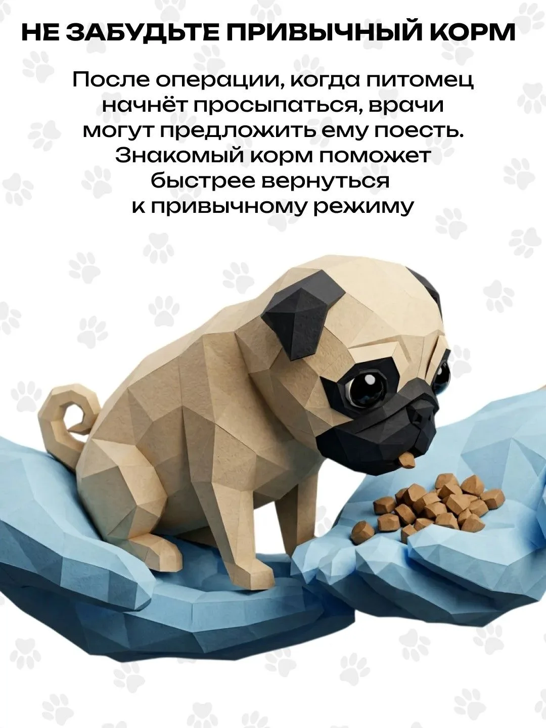 🐾  Операция для питомца — всегда волнительный момент. Правильная подготовка поможет сд...