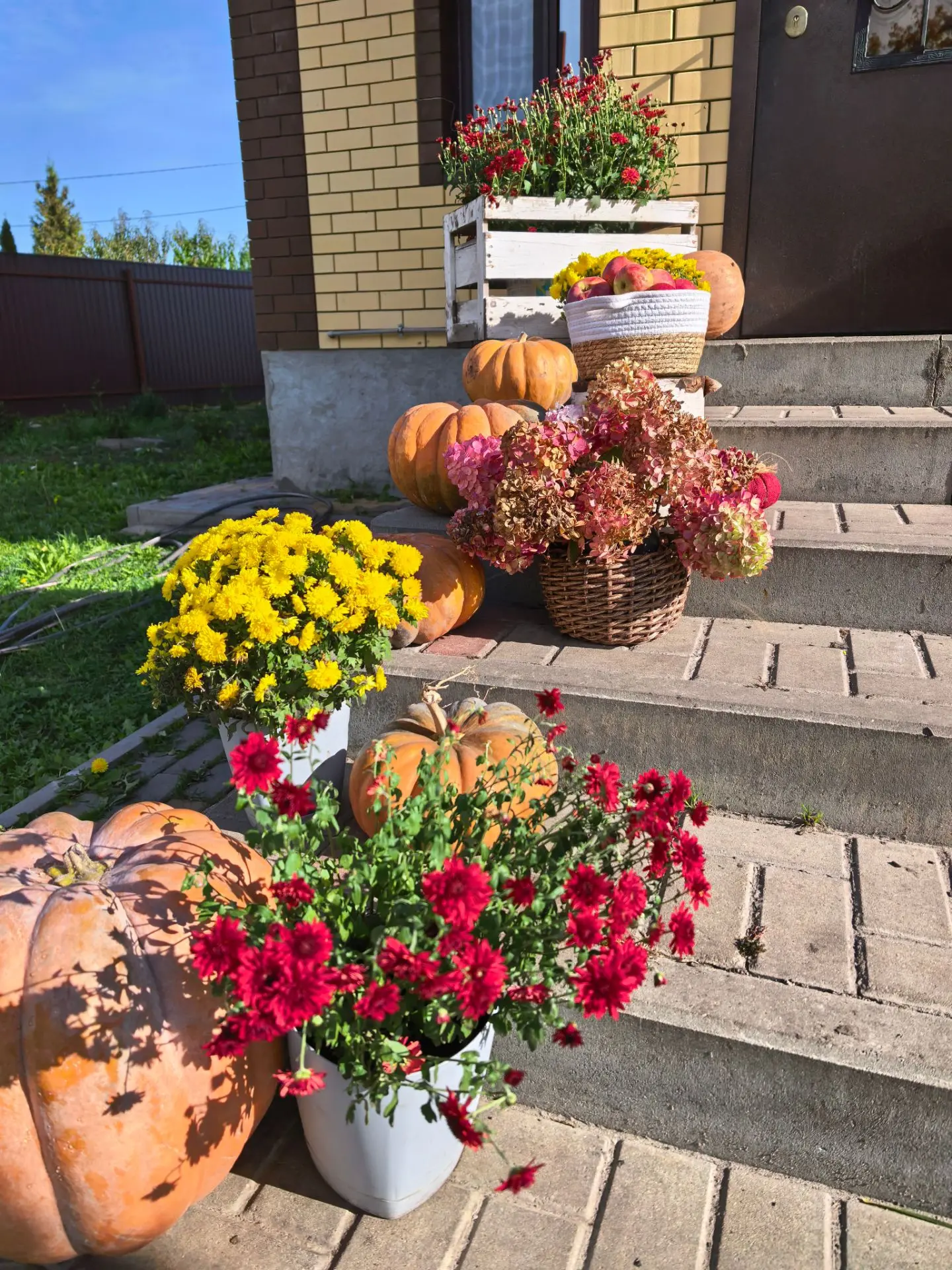 Такая осень у меня красивая!👍 Мне кажется, здесь не хватает корзинки с грибами.🍄‍🟫 Н...
