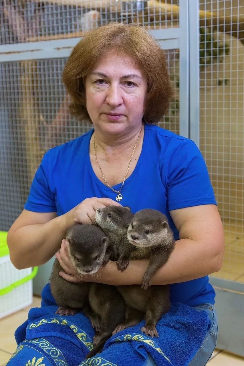 С профессиональным юбилеем, Светлана Николаевна!  Поздравляем Светлану Николаевну Верхоланцеву, заве