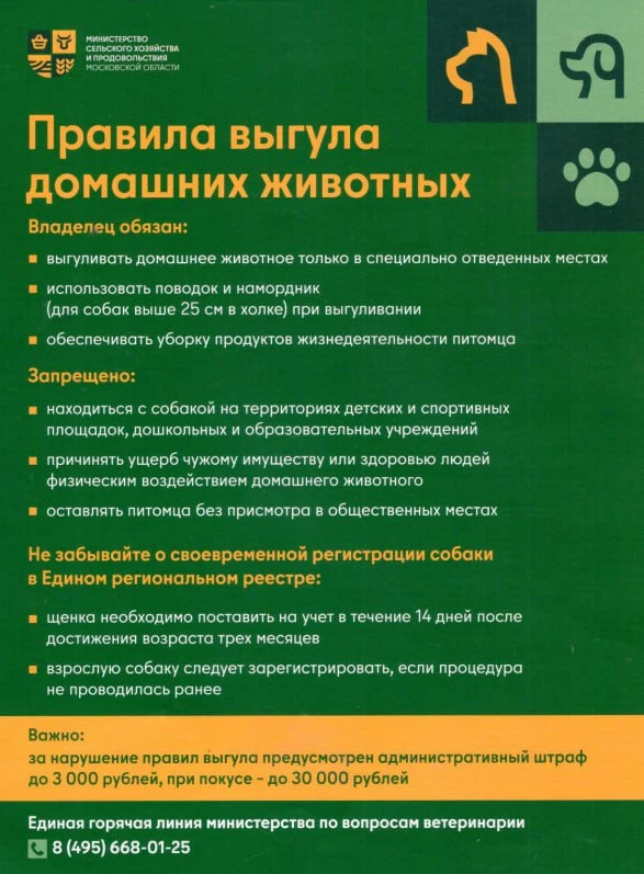 В Подмосковье действуют правила выгула домашних животных