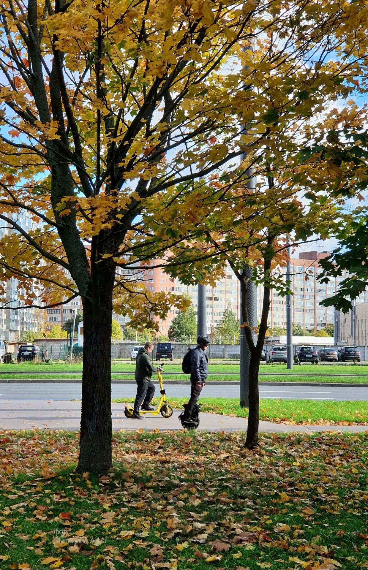 🍂По словам фотографов, в этом году листва облетает с деревьев невероятно быстро.