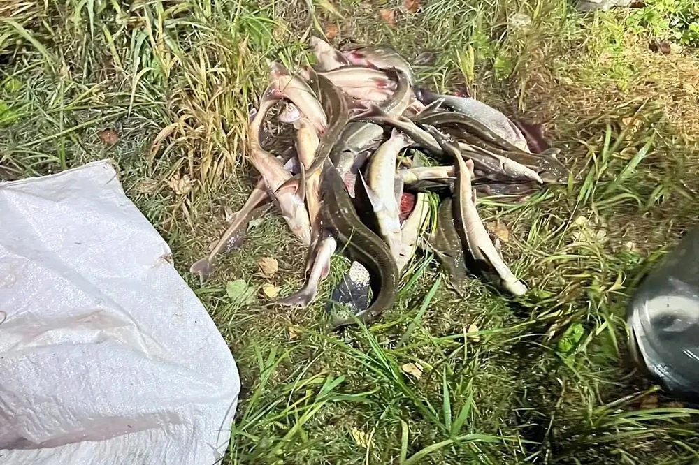 В Ленском районе сотрудниками полиции совместно с представителем Рыбоохраны выявлен фак...