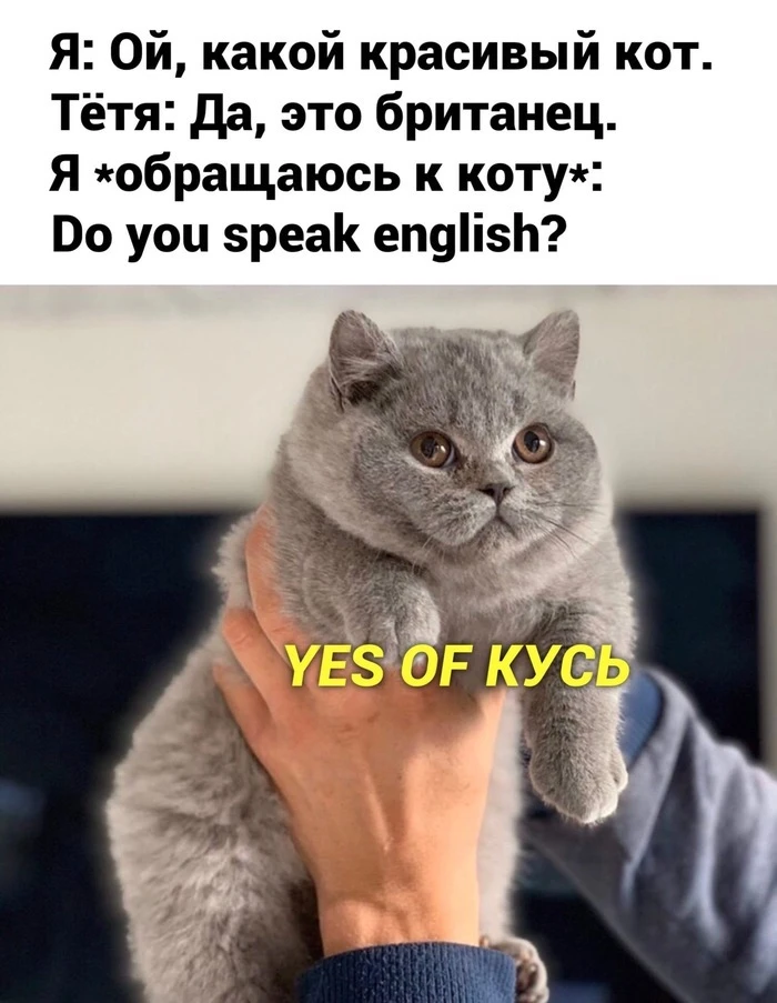 Оф кусь

Комментарии: pikabu.ru/link/9c43mmkG80