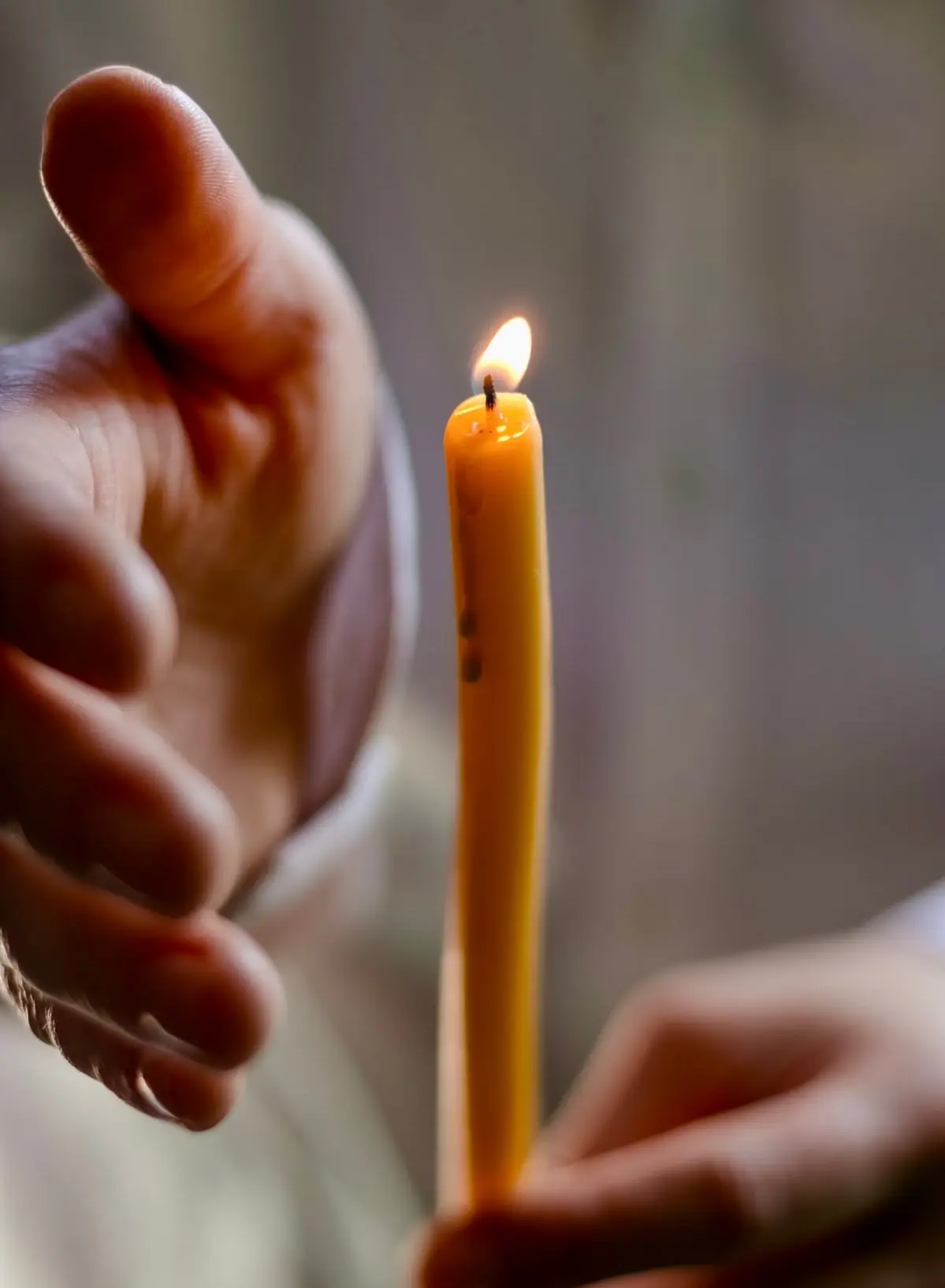 МОЛИТВА В ОРЕХОВЫЙ СПАС (29 АВГУСТА) НА СИЛУ И ЭНЕРГИЮ🙏🏻🌰