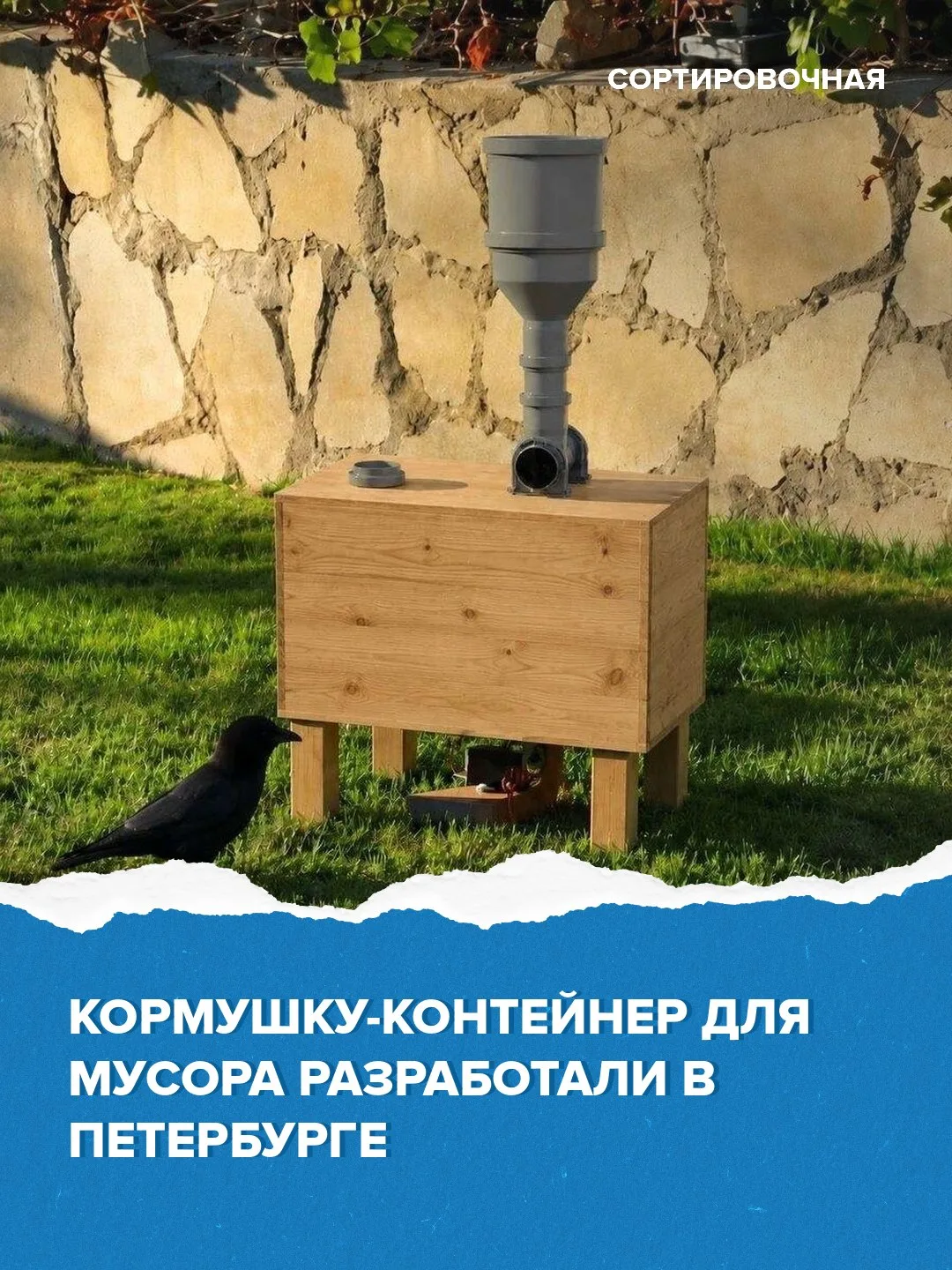 💡Новая разработка поможет птицам быть сытыми, а дворам — чистыми

Выпускник Петербургского госуниве