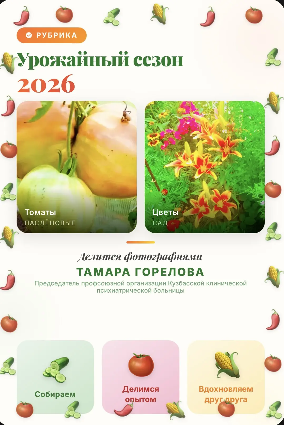 «УРОЖАЙНЫЙ СЕЗОН-2026»