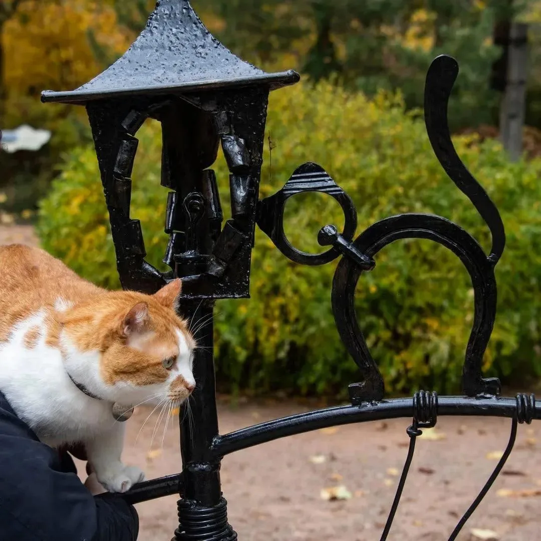 🌞🍂Лето промчалось, оставив после себя столько тепла и приятных воспоминаний!