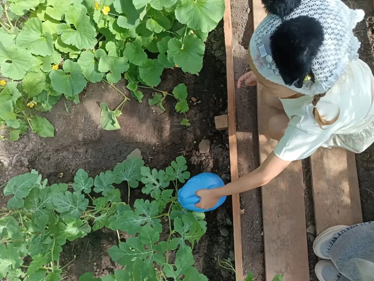 Солнце, воздух и вода — наши лучшие друзья! ☀️💧