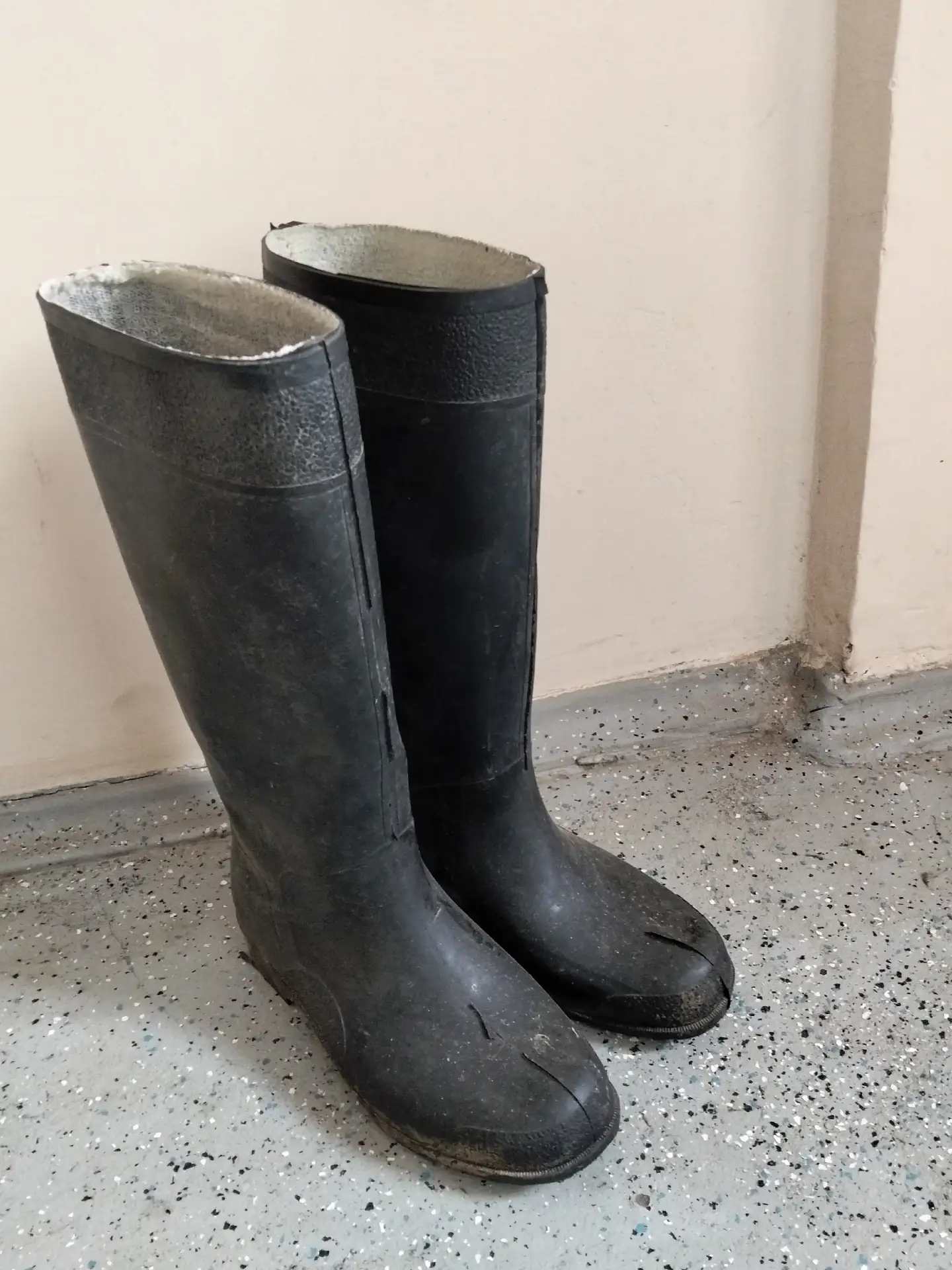 Продам резиновые сапоги.