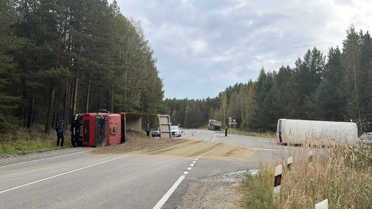 🚌 Водитель автобуса признался в употреблении алкоголя прямо во время работы