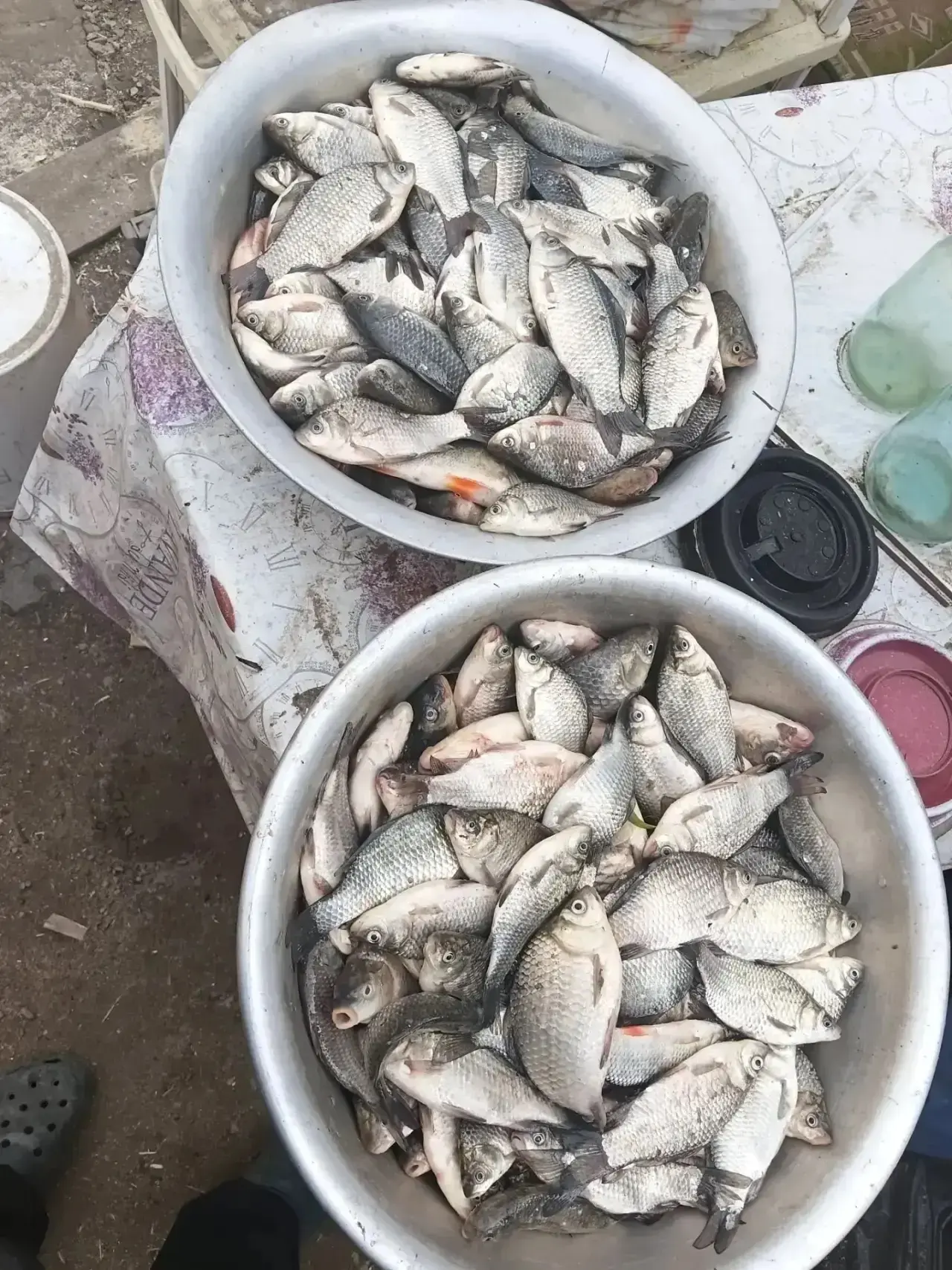 Ст Брыньвская🐠