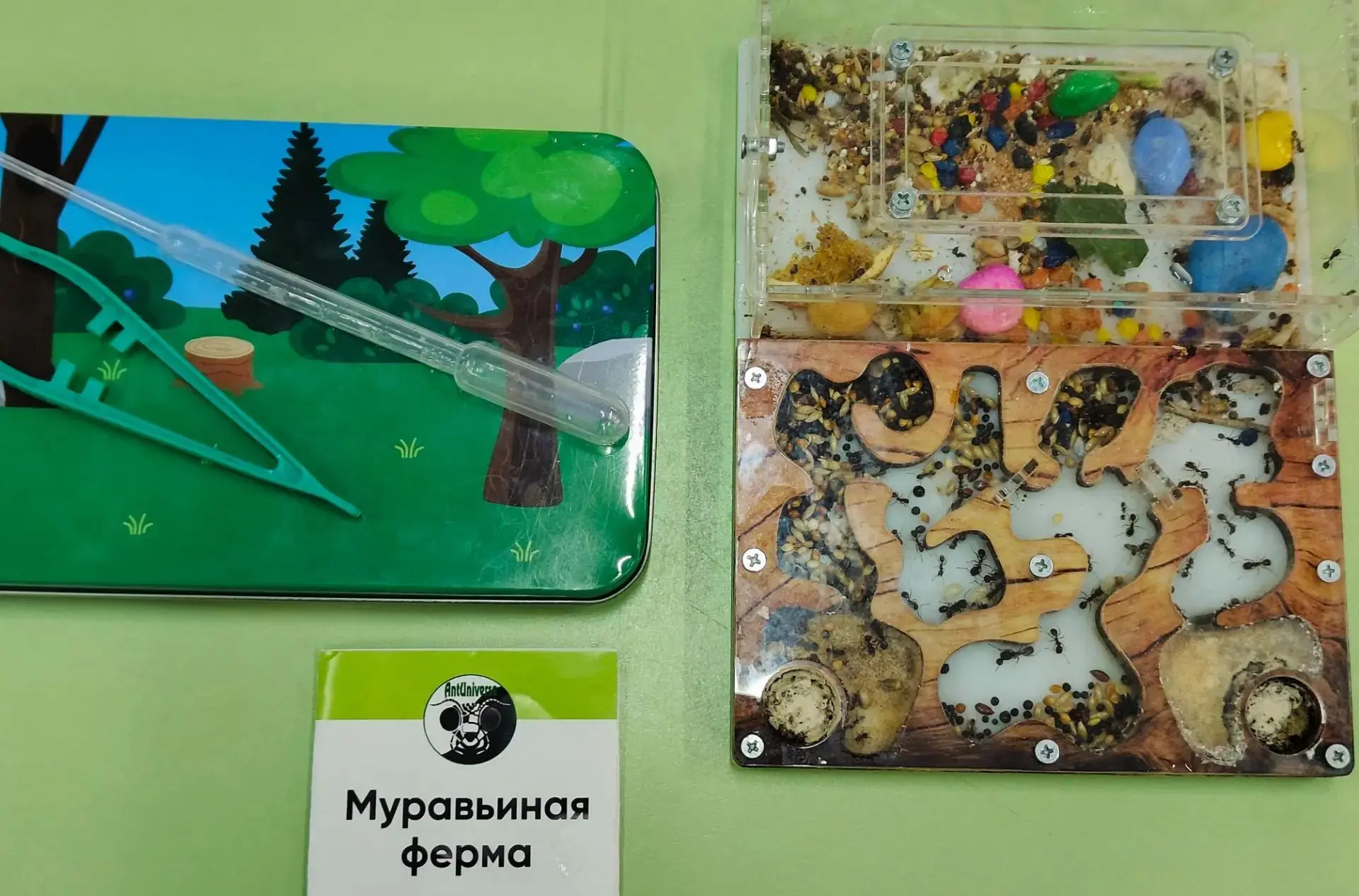 Летняя фантазия дошкольников: Муравьиное вдохновение🐜🐜🐜

Лето — удивительное время, наполненное я