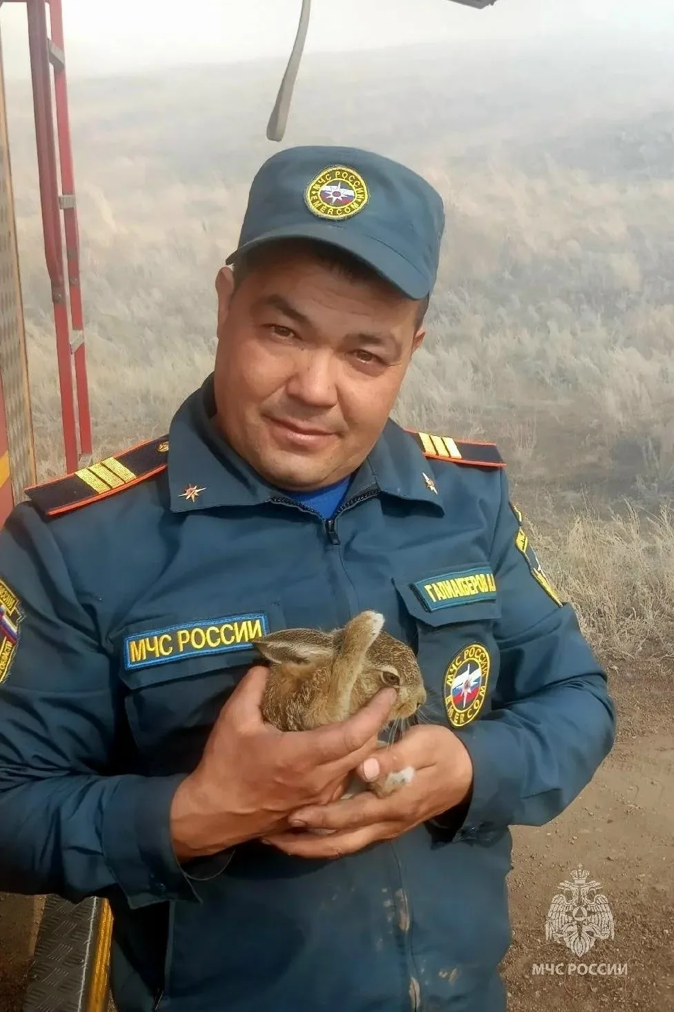 Самое милое и доброе за день😍🐇