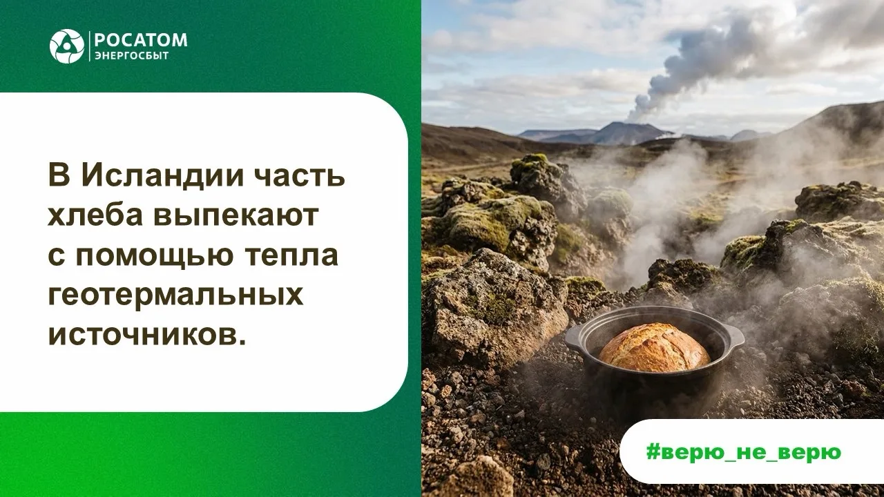 ⚡ Верю / Не верю

Сегодня электростанции умеют вырабатывать энергию из солнца, ветра, воды и даже те