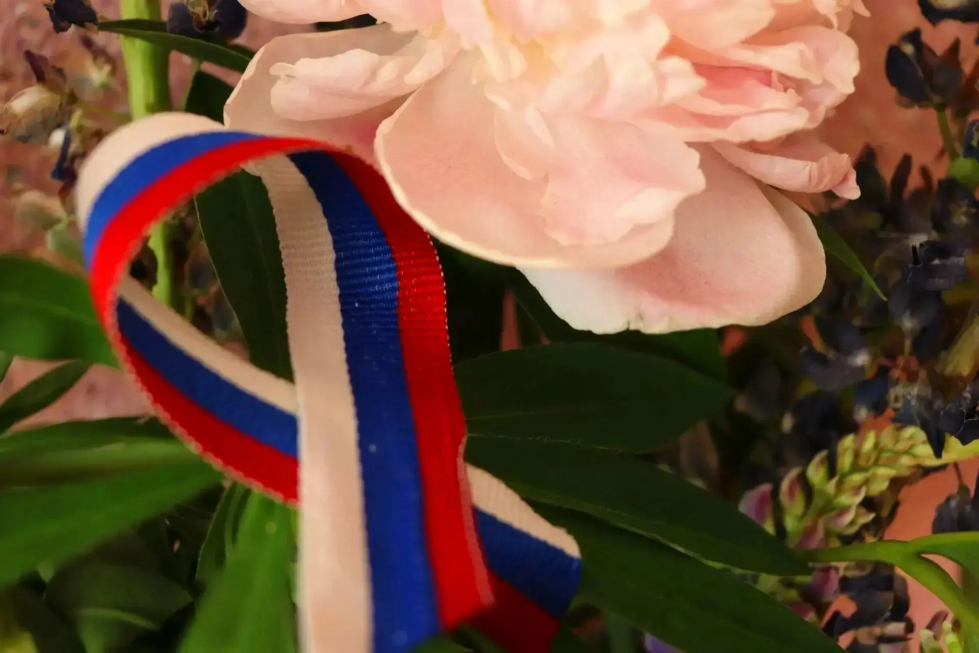 🇷🇺 Ленточка как символ единства, гордости и истории

☀В преддверии Дня России волонтёры и активист