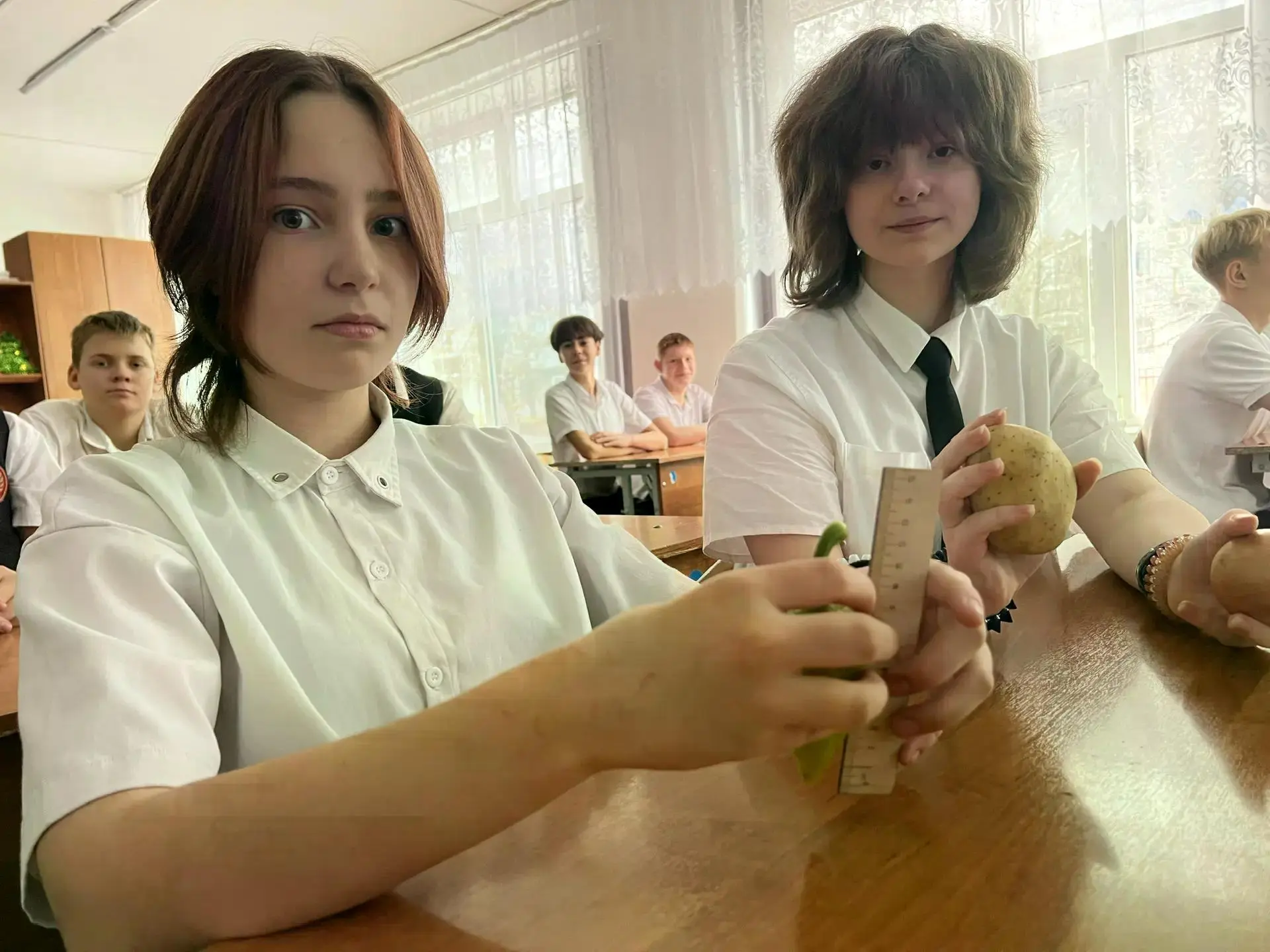 Денисова Анастасия Петровна, классный руководитель 7 «Б» класса, МБОУ СОШ 5, г. Белореченск, Краснод