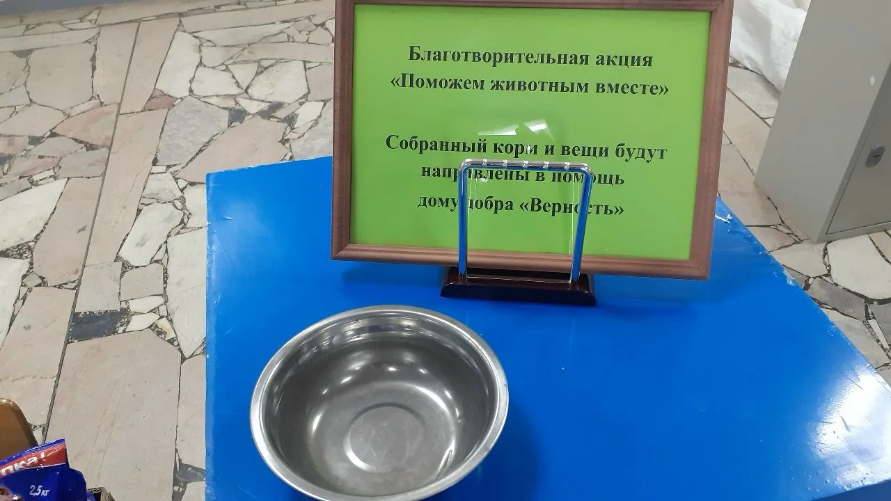 Дорогие друзья! Мы приглашаем вас поддержать инициативу и стать частью большой семьи те...
