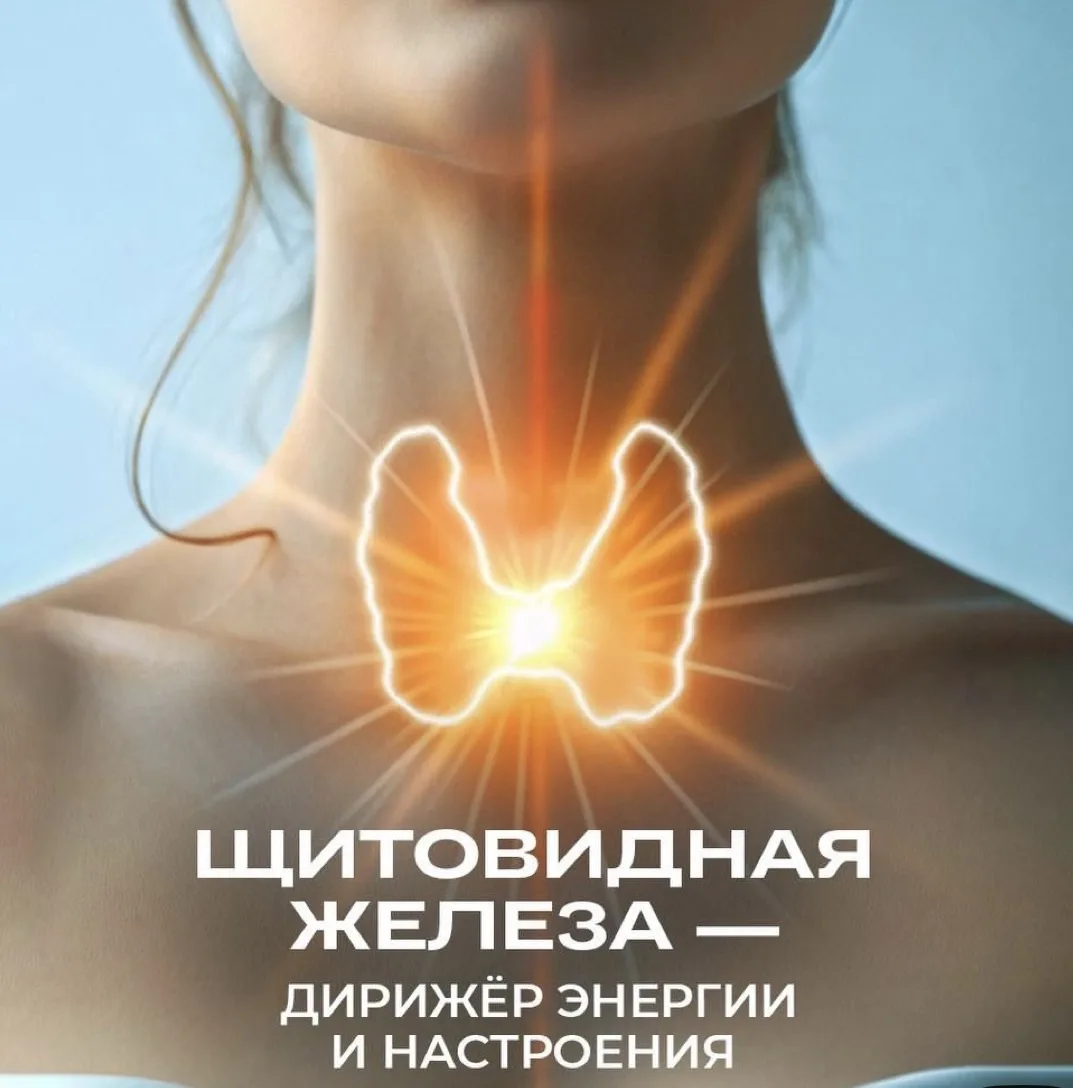 Обещала вам рассказывать про свои обучения.