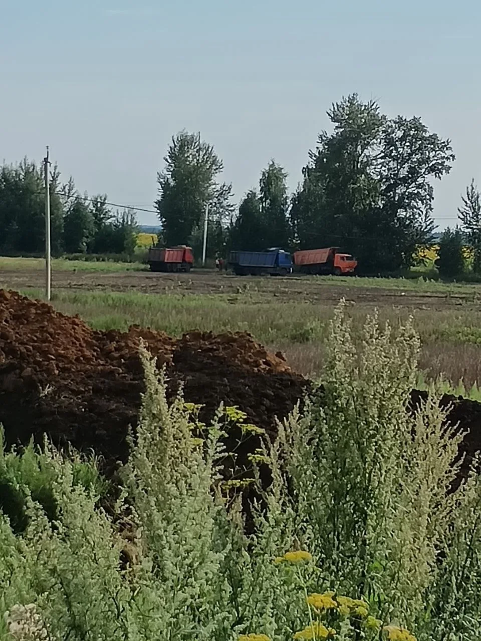 ⚠️ Жительница пожаловалась на регулярный слив чёрной жидкости на поля под Тольятти

По её словам, сп