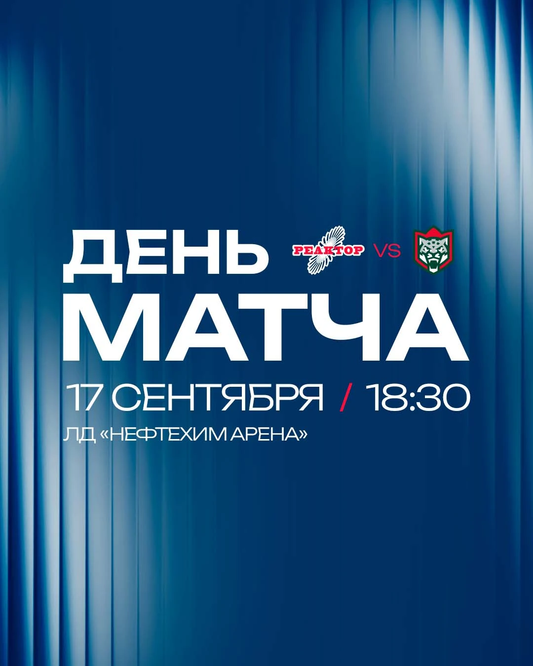 Всем привет! 👋