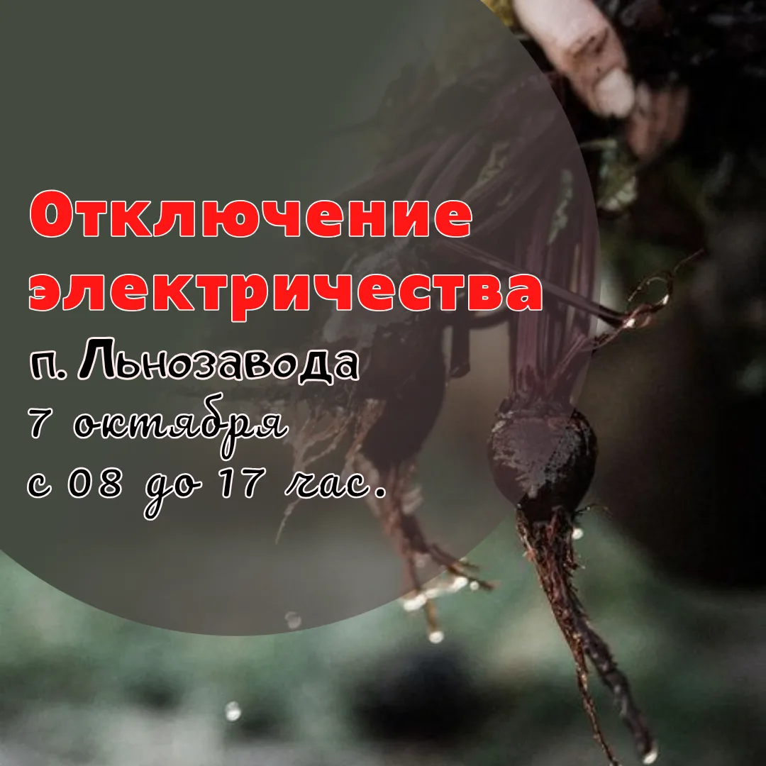 Внимание!