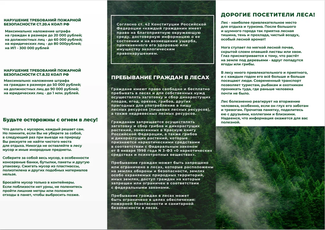Памятка пребывания граждан в лесах.