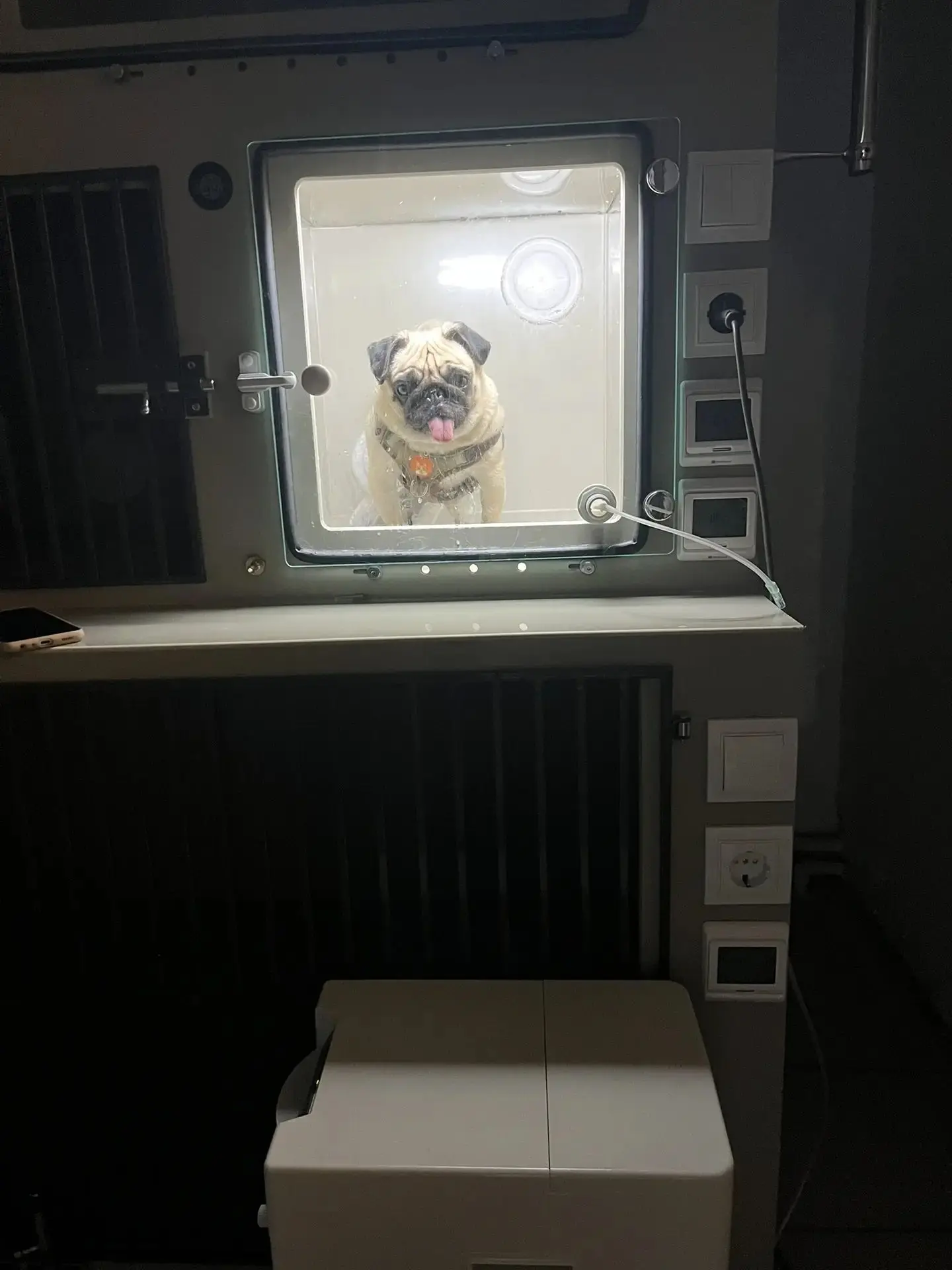 🩺👨‍⚕️🏥Кислородная камера для животных 🦮🐈 используются не только в реанимации, но и...