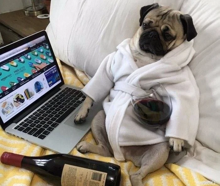 🍷 День вина и сыра отмечается сегодня