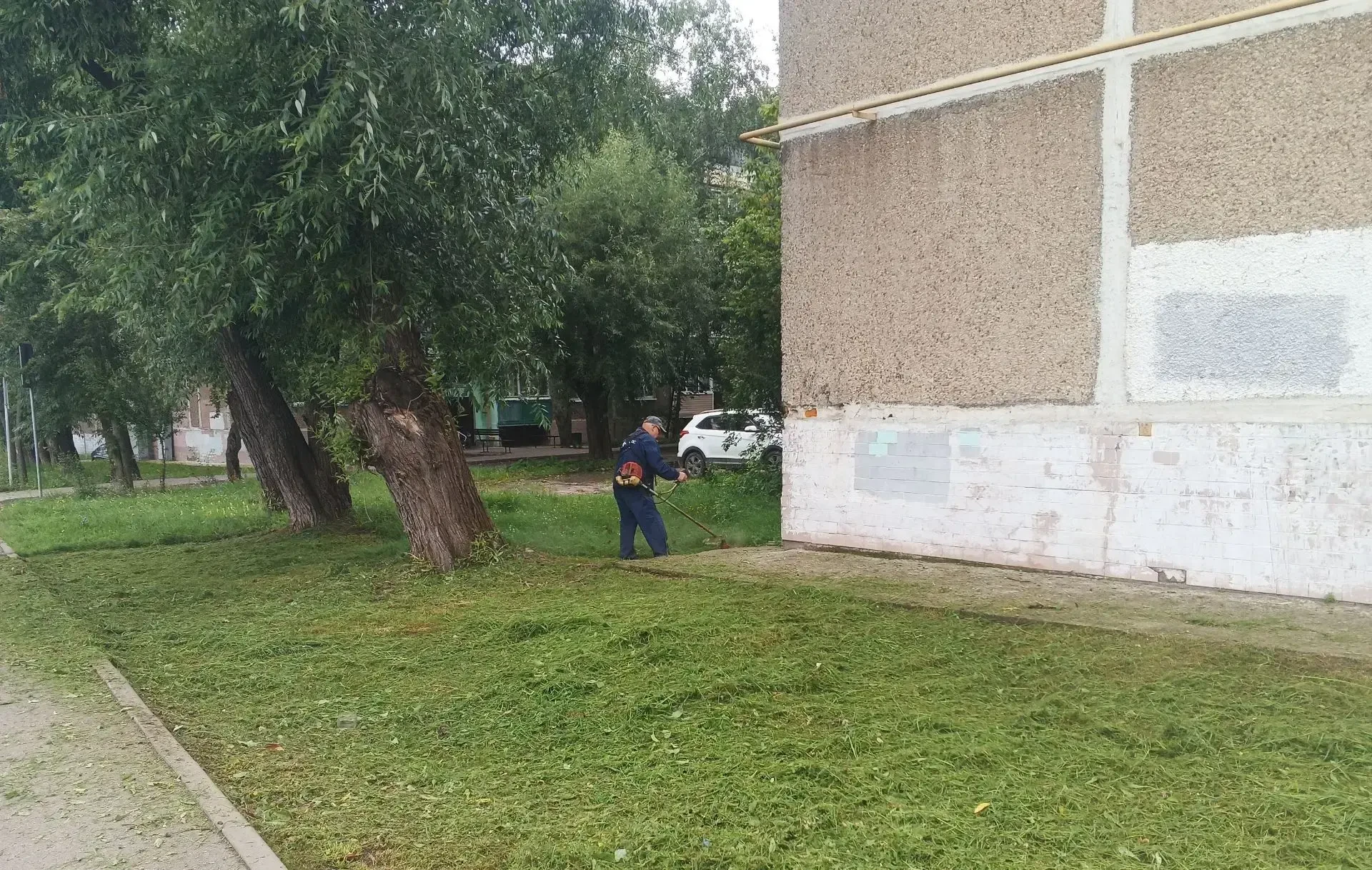 🧹Дворники — это невидимый фронт чистоты, на котором каждый день разворачивается тихая, но ☝️важная 