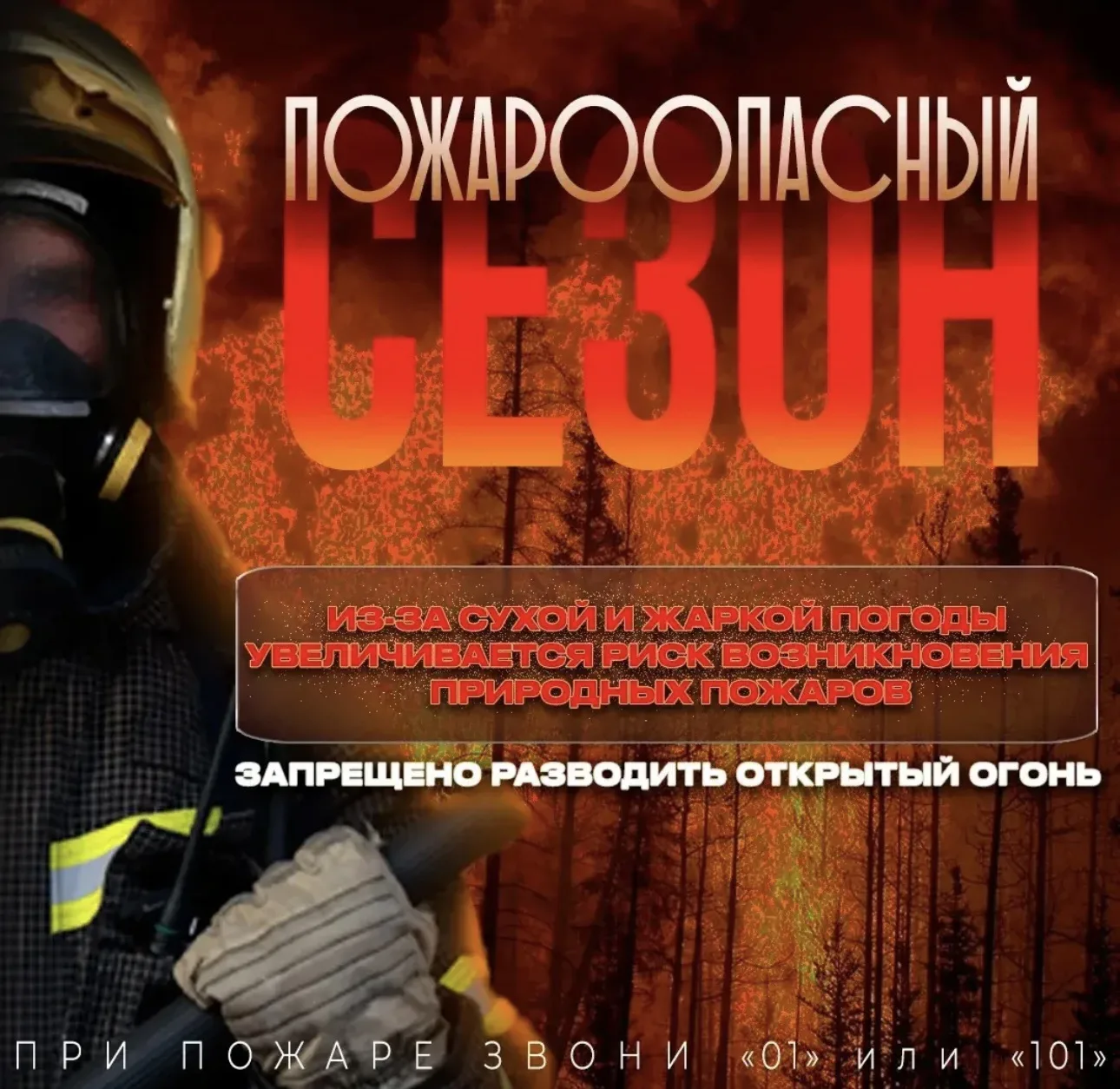 ВНИМАНИЕ‼️
С 1 июня 2026 года, на территории Северского сельского поселения действует особый противо