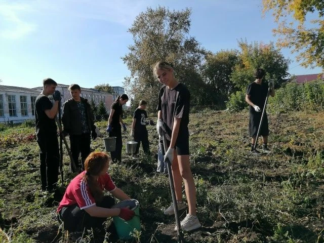 Осень радует тёплыми деньками, а значит, пора собирать урожай!