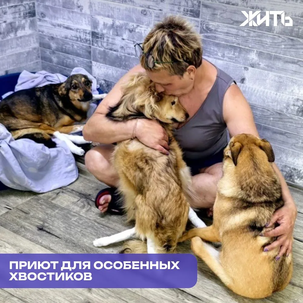 В Донецке дают второй шанс животным с передовой

В Донецке уже несколько лет работает приют «4 ЛАПКИ