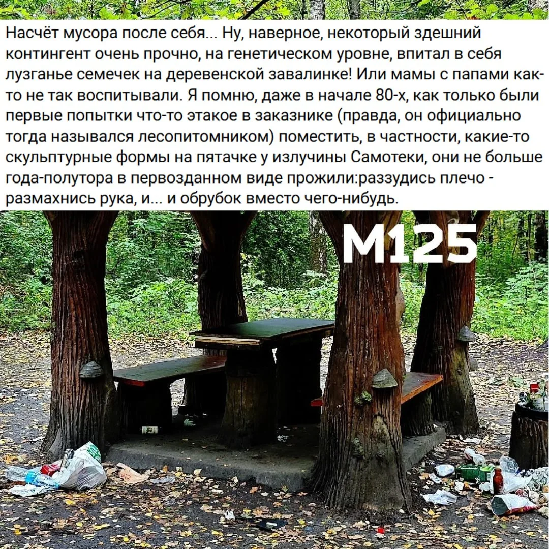 Вот такое замечание высказал сосед по поводу свинства в нашем лесу, да и в целом.